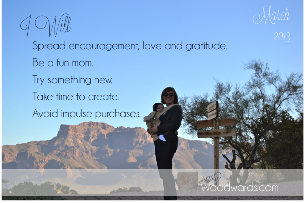March I Wills 2013