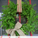 How to make a $2 boxwood wreath